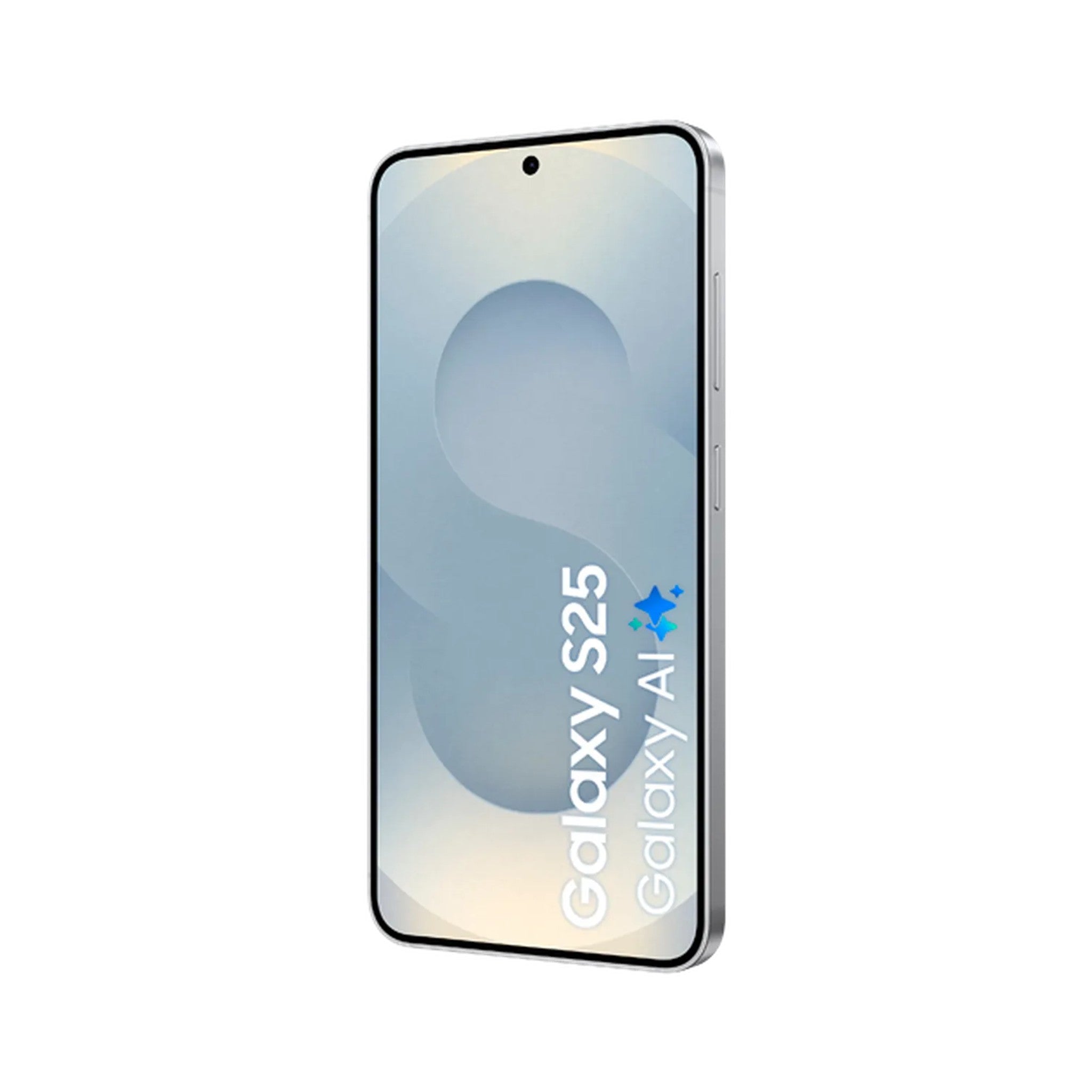 Samsung Galaxy S25 256GB Silver Shadow